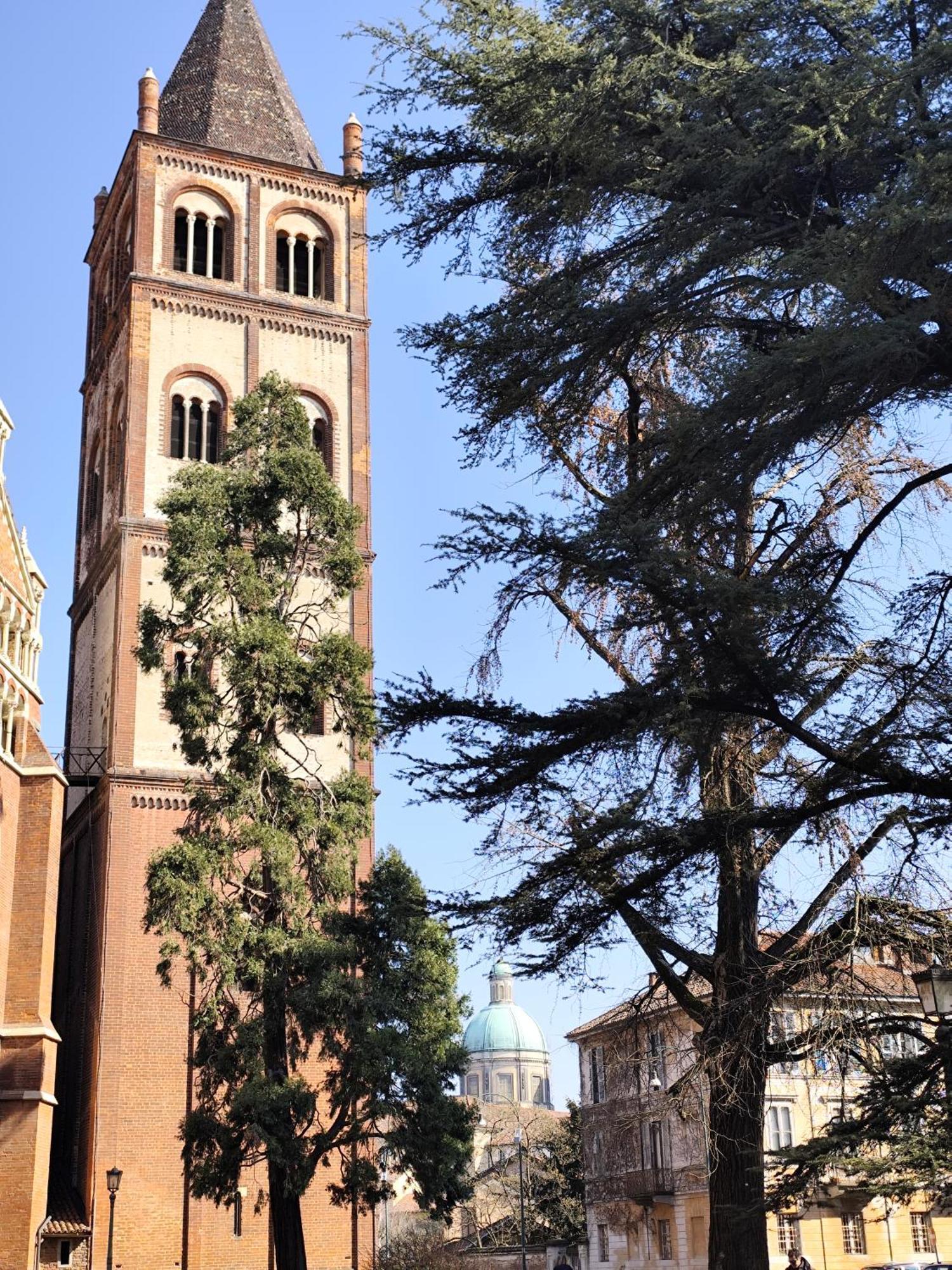 Loft Piazza Cavour Верчеллі Екстер'єр фото